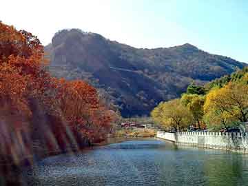 澳门二四六天天彩图库，生物教学器材